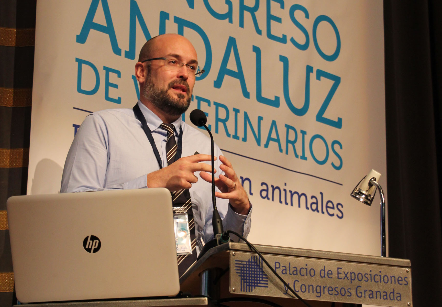 Oncologia Congreso Andaluz Veterinarios